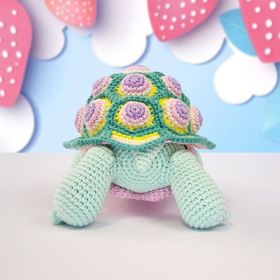 Astro the Tortoise
8