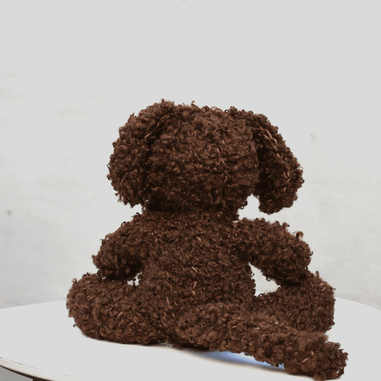 Cavapoo
2