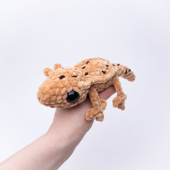 Gavin the Gecko
6