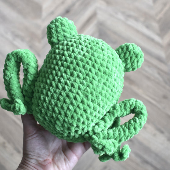 Splashy the Frog
6