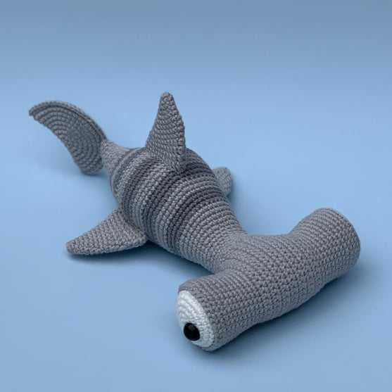 Hammerhead Shark
4
