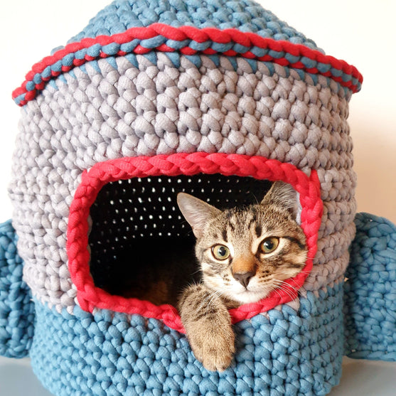Space cat - Cat house
2