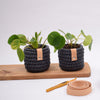 

Small Ribbon Pot
2