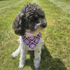 

Millie’s - Dog bandana
2