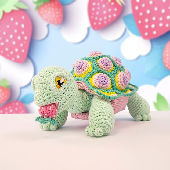

Astro the Tortoise
1