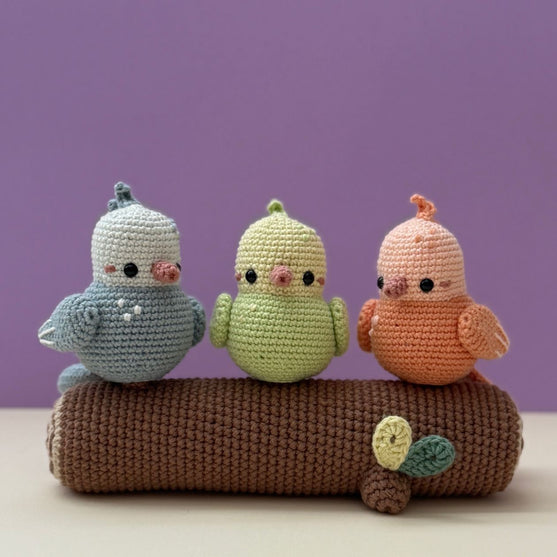 

Spring Birds
1