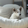 

Homebody - Cushion Cover
6