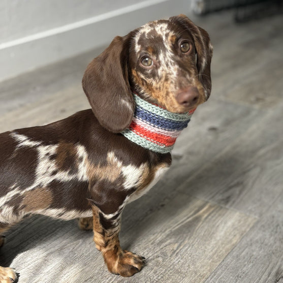 

Wes - Dog Scarf
1